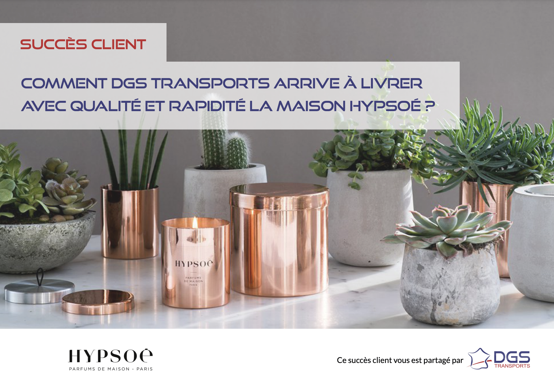 COMMENT DGS TRANSPORTS ARRIVE À LIVRER AVEC QUALITÉ ET RAPIDITÉ LA MAISON HYPSOÉ ?