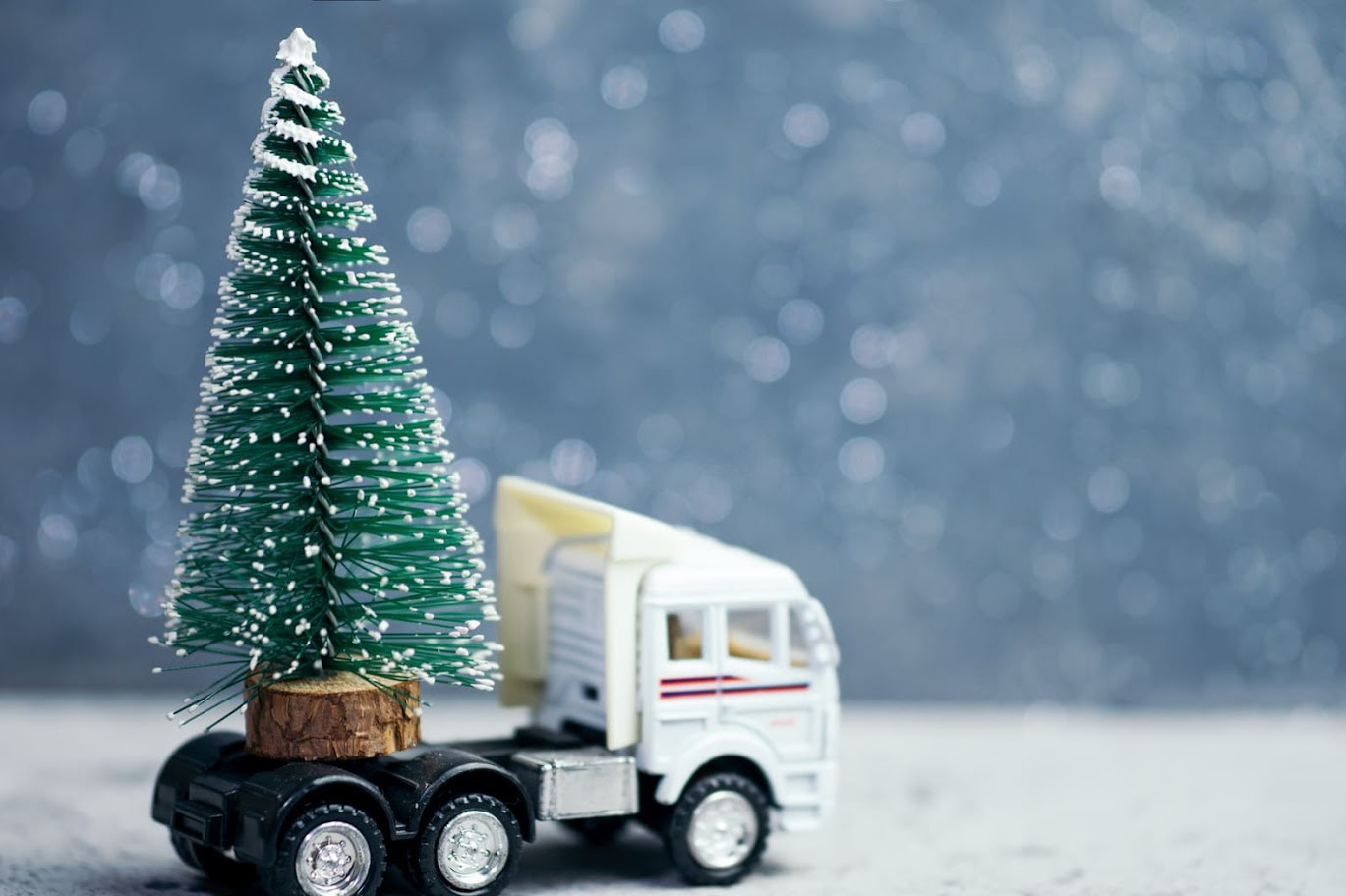 Découvrez les services DGS pour les livraisons avant noel